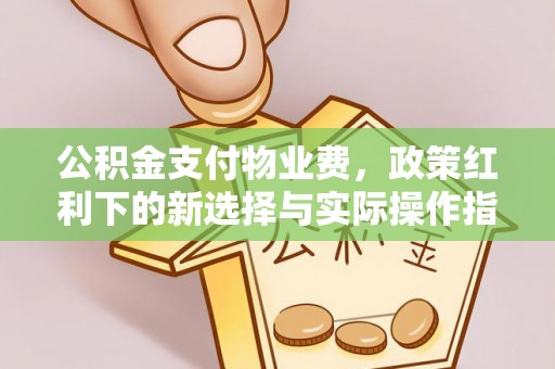 张湾公积金支付物业费，政策红利下的新选择与实际操作指南