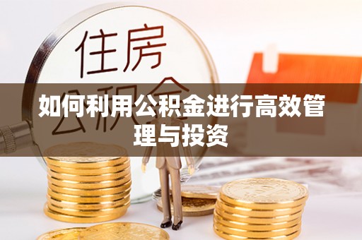 张湾如何利用公积金进行高效管理与投资