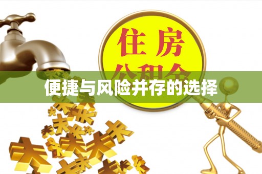 张湾便捷与风险并存的选择
