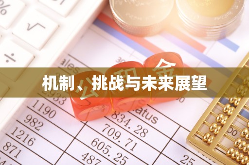 张湾机制、挑战与未来展望