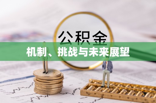 张湾机制、挑战与未来展望